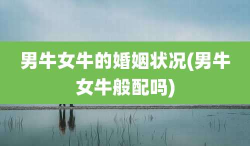 男牛女牛的婚姻状况(男牛女牛般配吗)