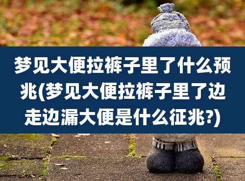 梦见大便拉裤子里了什么预兆(梦见大便拉裤子里了边走边漏大便是什么征兆?)