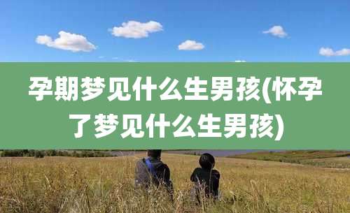 孕期梦见什么生男孩(怀孕了梦见什么生男孩)