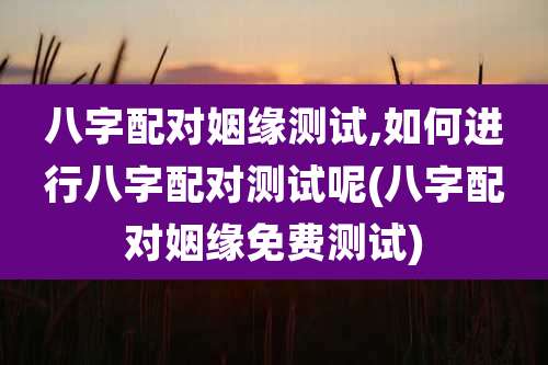 八字配对姻缘测试,如何进行八字配对测试呢(八字配对姻缘免费测试)