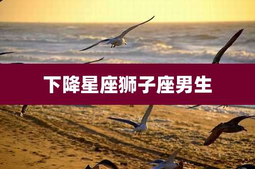 下降星座狮子座男生