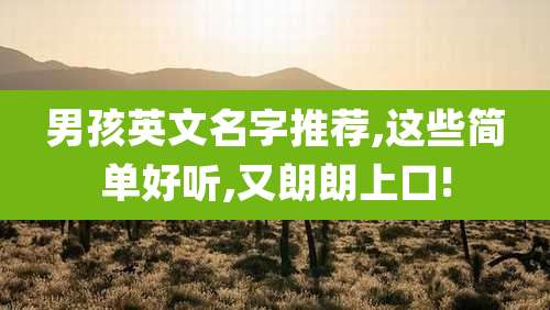 男孩英文名字推荐,这些简单好听,又朗朗上口!