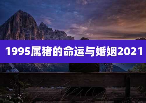 1995属猪的命运与婚姻2021