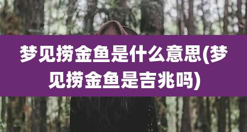 梦见捞金鱼是什么意思(梦见捞金鱼是吉兆吗)