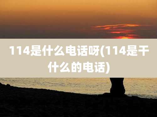 114是什么电话呀(114是干什么的电话)