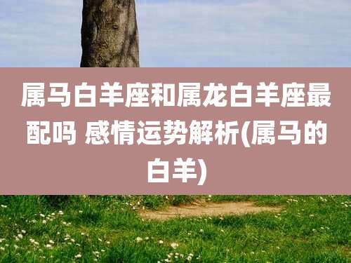 属马白羊座和属龙白羊座最配吗 感情运势解析(属马的白羊)