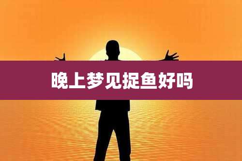 晚上梦见捉鱼好吗