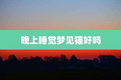 晚上睡觉梦见猫好吗
