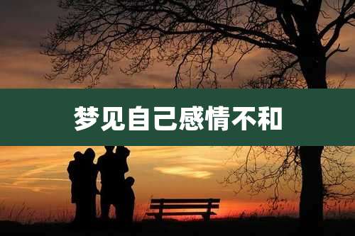 梦见自己感情不和