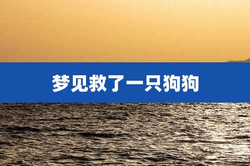 梦见救了一只狗狗