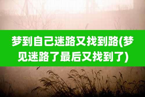 梦到自己迷路又找到路(梦见迷路了最后又找到了)