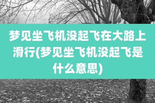 梦见坐飞机没起飞在大路上滑行(梦见坐飞机没起飞是什么意思)