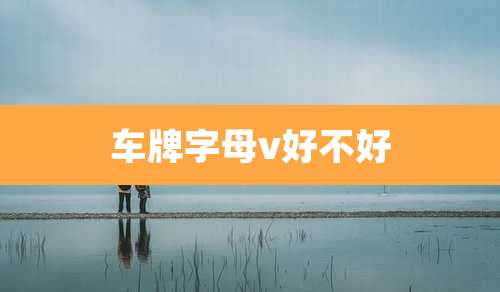 车牌字母v好不好