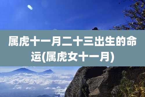 属虎十一月二十三出生的命运(属虎女十一月)