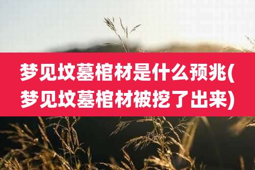 梦见坟墓棺材是什么预兆(梦见坟墓棺材被挖了出来)