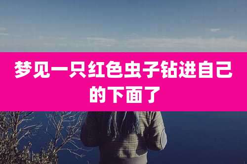 梦见一只红色虫子钻进自己的下面了