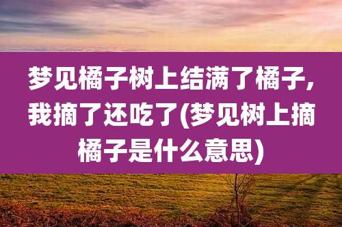 梦见橘子树上结满了橘子,我摘了还吃了(梦见树上摘橘子是什么意思)