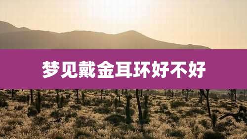 梦见戴金耳环好不好