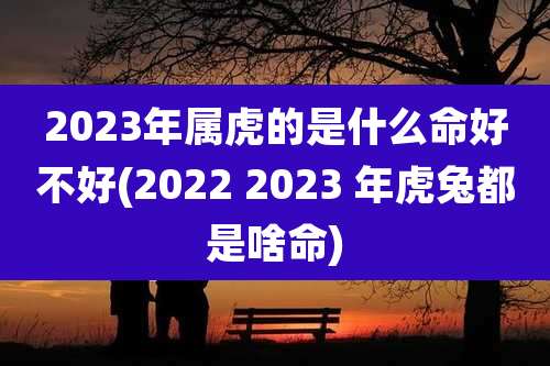 2023年属虎的是什么命好不好(2022 2023 年虎兔都是啥命)