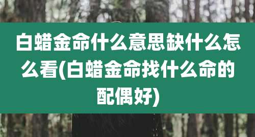 白蜡金命什么意思缺什么怎么看(白蜡金命找什么命的配偶好)