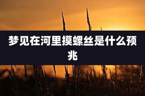 梦见在河里摸螺丝是什么预兆