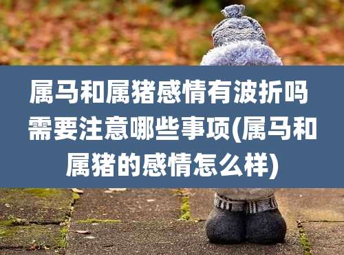 属马和属猪感情有波折吗 需要注意哪些事项(属马和属猪的感情怎么样)