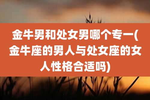 金牛男和处女男哪个专一(金牛座的男人与处女座的女人性格合适吗)