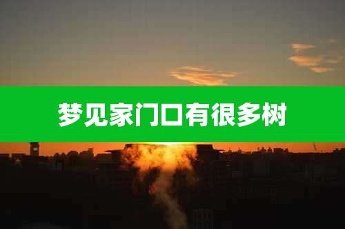 梦见家门口有很多树