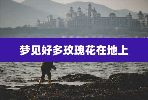 梦见好多玫瑰花在地上