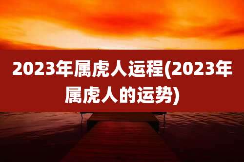2023年属虎人运程(2023年属虎人的运势)