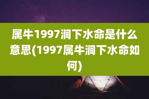 属牛1997涧下水命是什么意思(1997属牛涧下水命如何)