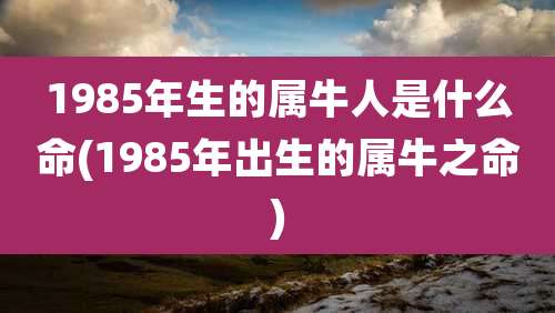 1985年生的属牛人是什么命(1985年出生的属牛之命)