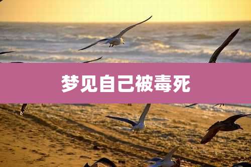 梦见自己被毒死