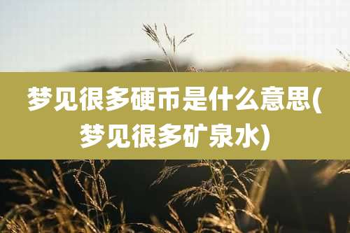 梦见很多硬币是什么意思(梦见很多矿泉水)