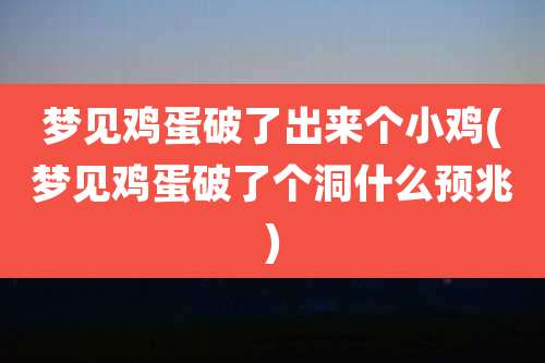梦见鸡蛋破了出来个小鸡(梦见鸡蛋破了个洞什么预兆)
