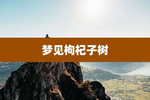 梦见枸杞子树