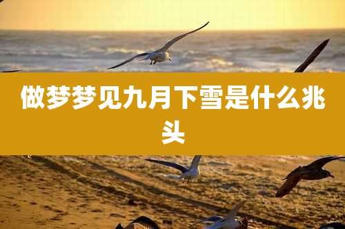 做梦梦见九月下雪是什么兆头