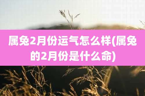属兔2月份运气怎么样(属兔的2月份是什么命)
