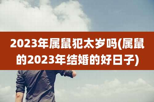 2023年属鼠犯太岁吗(属鼠的2023年结婚的好日子)
