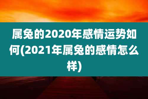 属兔的2020年感情运势如何(2021年属兔的感情怎么样)