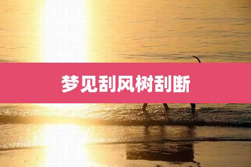 梦见刮风树刮断