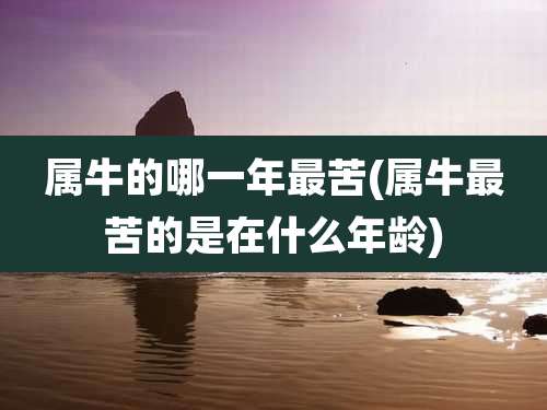 属牛的哪一年最苦(属牛最苦的是在什么年龄)