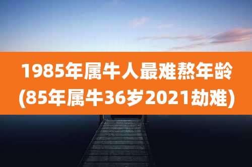 1985年属牛人最难熬年龄(85年属牛36岁2021劫难)