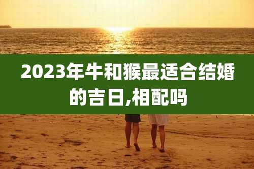 2023年牛和猴最适合结婚的吉日,相配吗