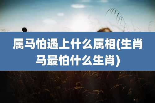 属马怕遇上什么属相(生肖马最怕什么生肖)