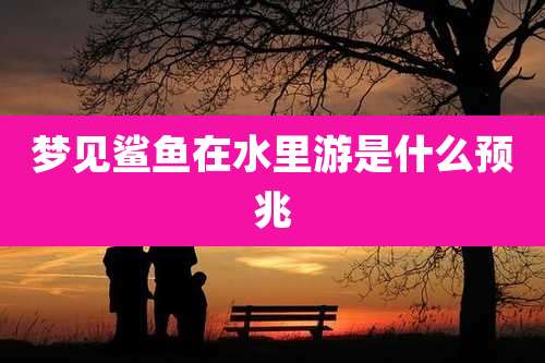 梦见鲨鱼在水里游是什么预兆
