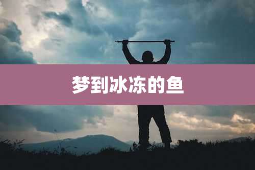 梦到冰冻的鱼
