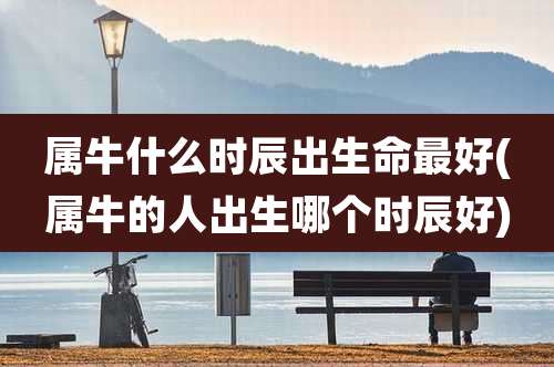 属牛什么时辰出生命最好(属牛的人出生哪个时辰好)