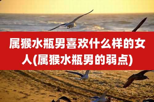 属猴水瓶男喜欢什么样的女人(属猴水瓶男的弱点)