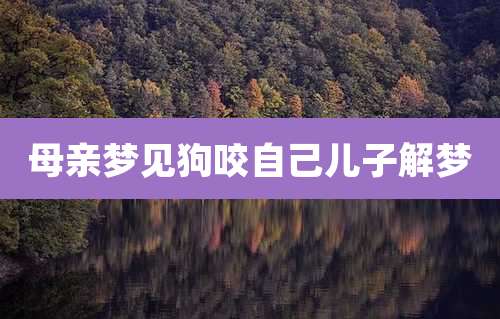 母亲梦见狗咬自己儿子解梦